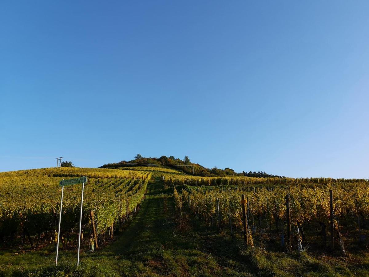 Cocon De Caractere Au Coeur Des Vignes Alsaciennes Apartment Bergheim Bagian luar foto