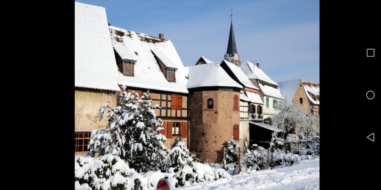 Cocon De Caractere Au Coeur Des Vignes Alsaciennes Apartment Bergheim Bagian luar foto