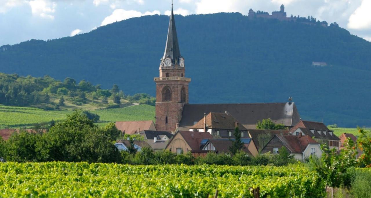 Cocon De Caractere Au Coeur Des Vignes Alsaciennes Apartment Bergheim Bagian luar foto