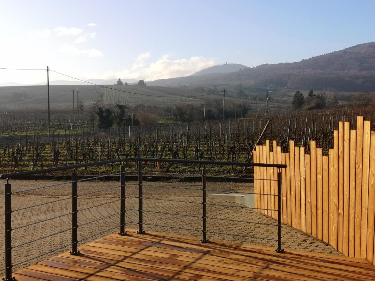 Cocon De Caractere Au Coeur Des Vignes Alsaciennes Apartment Bergheim Bagian luar foto