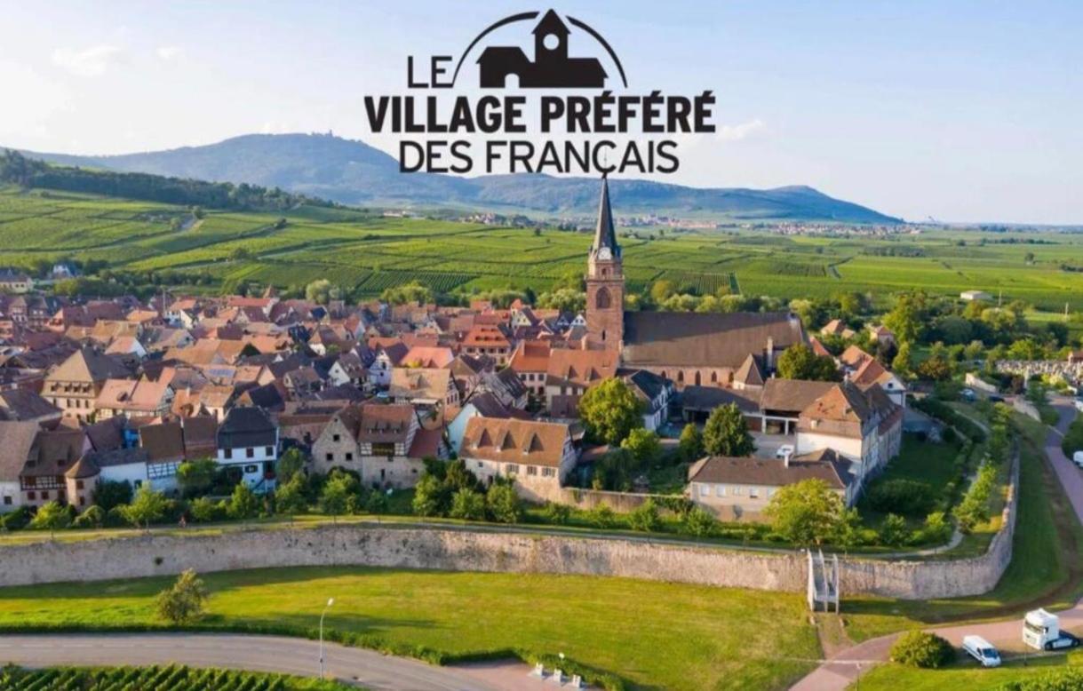 Cocon De Caractere Au Coeur Des Vignes Alsaciennes Apartment Bergheim Bagian luar foto